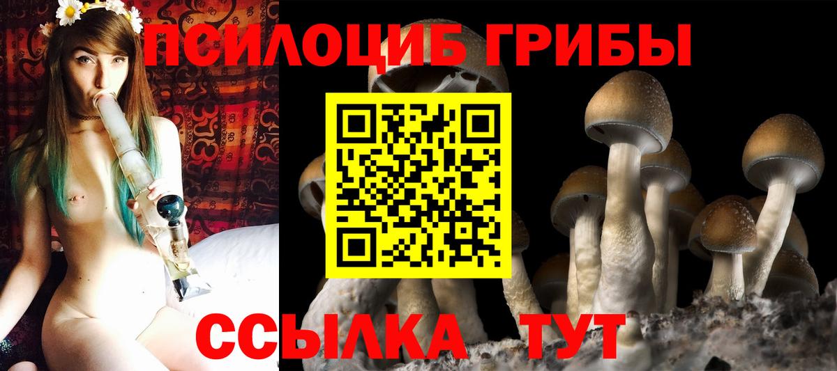 Нерюнгри  Галлюциногенные грибы GOLDEN TEACHER  Вход с VPN  Псилоцибиновые грибы мухоморы 